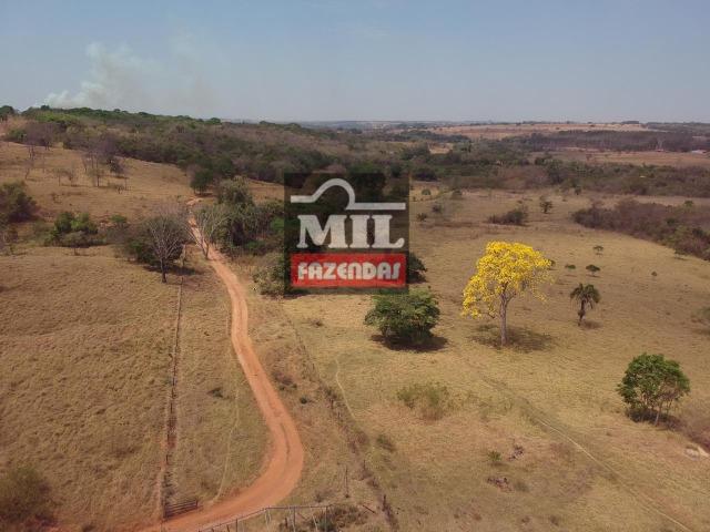 Fazenda à 35 km Goiânia (Beira Rio e Plana)