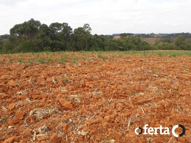 Chácara à venda em Serrinha, Contenda cod:549 - Foto 11