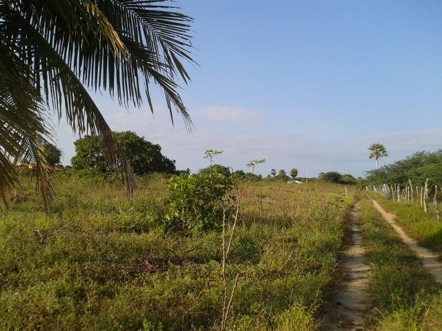 Granja com 11 há em mandú, lagoa de pedras - Foto 20