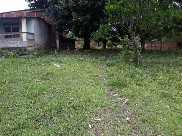 Excelente área com galpão em Guapimirim - Citrolândia oportunidade!!! - Foto 11