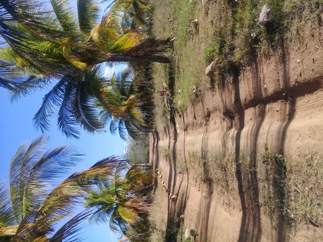 Uma chácara beira-rio 10mt quadrado
