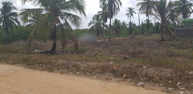 Terreno em Tamandaré de Esquina 300 m² - Foto 4