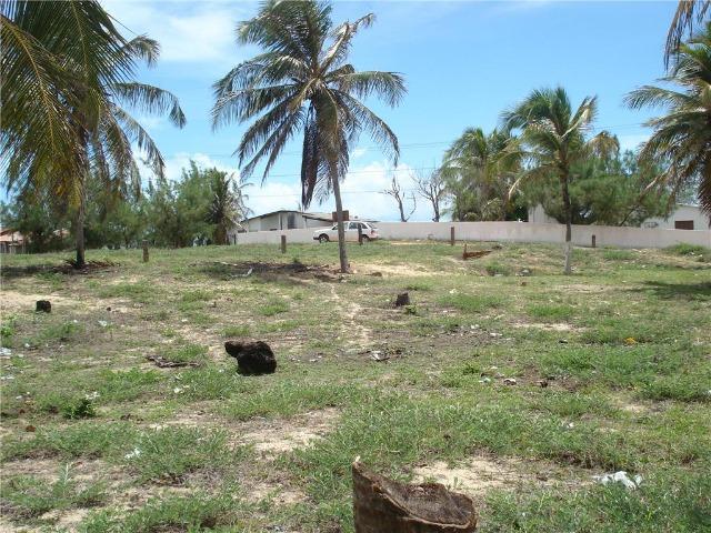 Terreno na Praia de Caraúbas Distrito de Maxaranguape - 630m² - Foto 3