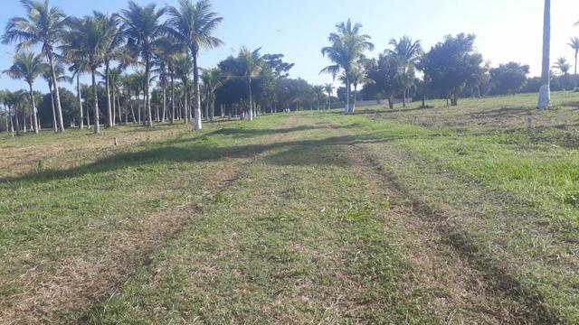 Ll Terrenos Próximo ao Trevo de Búzios - Foto 4