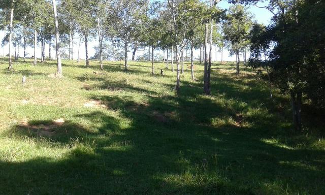 Fazenda 5.5 Alqueires Municipio de Pirinopolis Não aceita Imovel - Foto 20
