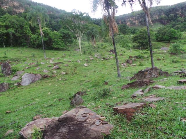 Fazenda 15 Alqueires Municipio Cocalzinho Aceita Imovel até 200 mil - Foto 17