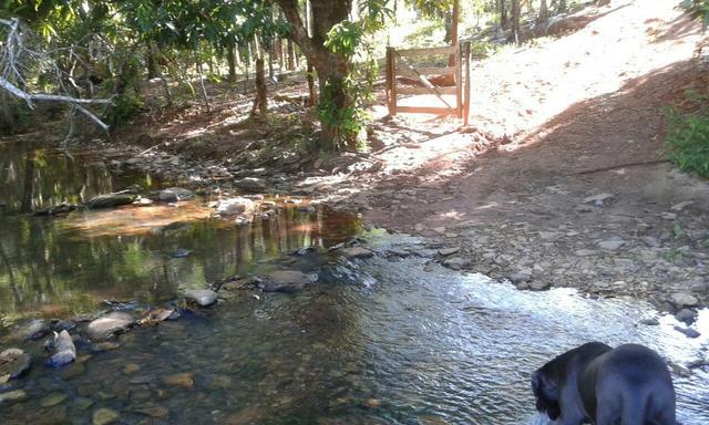 Fazenda 5.5 Alqueires Municipio de Pirinopolis Não aceita Imovel - Foto 11
