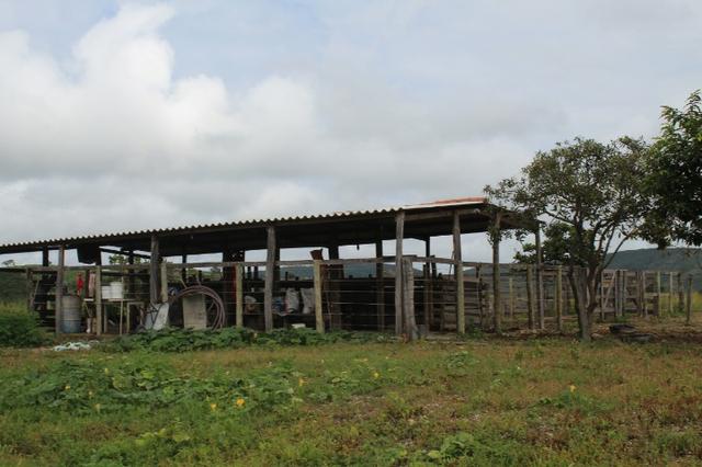 Fazenda 22 Alqueires Municpio Cocalzinho Aceita 50% em Trama em Goiania - Foto 3