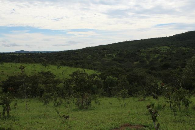 Fazenda 22 Alqueires Municpio Cocalzinho Aceita 50% em Trama em Goiania - Foto 12