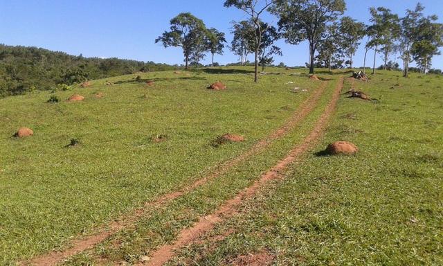 Fazenda 5.5 Alqueires Municipio de Pirinopolis Não aceita Imovel - Foto 18