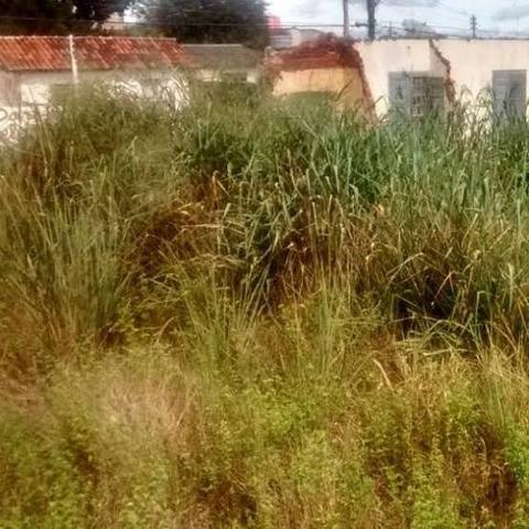 Faço limpezas de terrenos. e roçadas BH - Foto 2