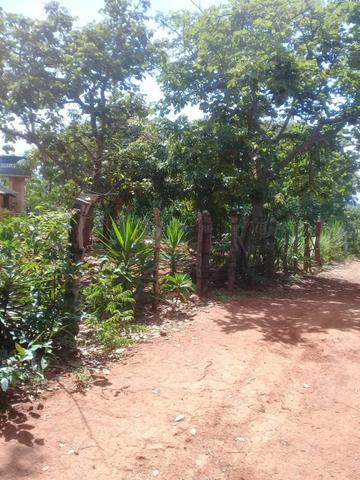 Vendo Chácara na Comunidade Rural de Extrema em Bocaiuva-Mg - Foto 8