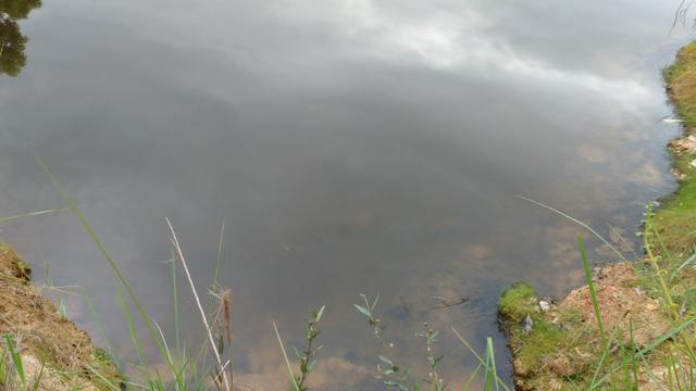 Chácara próximo ao pedra 90 - Foto 4