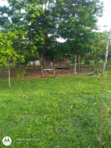 Vendo ou troco uma chácara - Foto 6