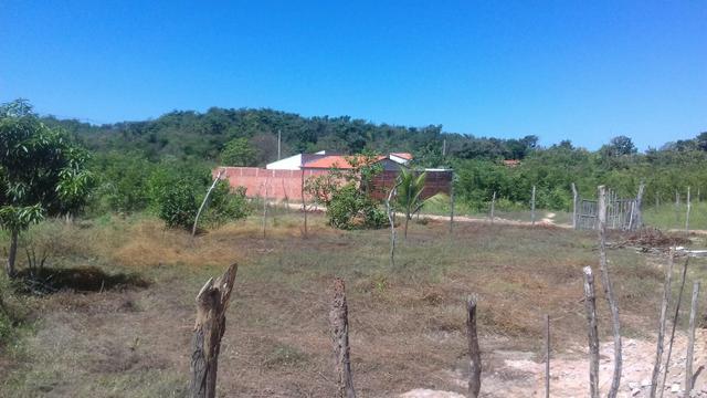 Terreno em Cocal