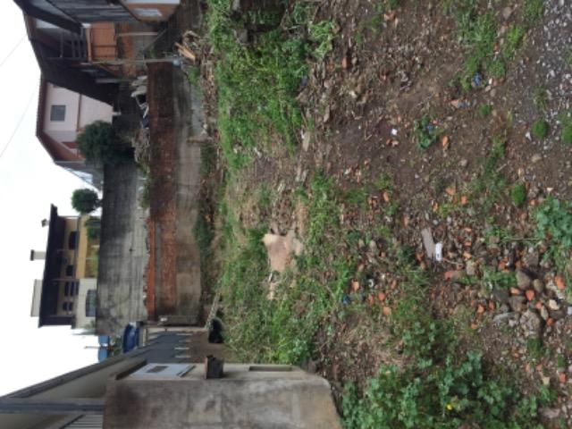 Terreno