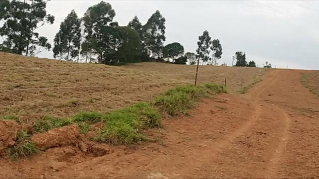 Terrenos Rurais, Ótima Topografia - Foto 4
