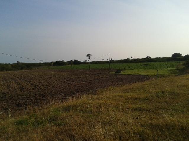 Granja com 11 há em mandú, lagoa de pedras - Foto 9