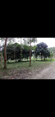 Terreno - Foto 2