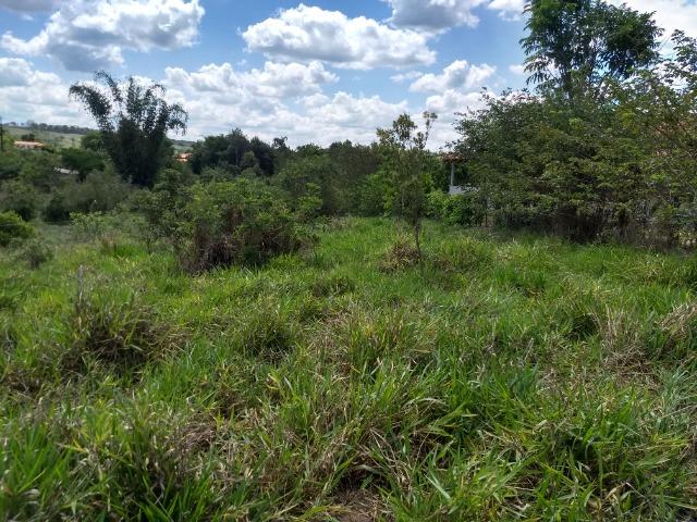 Terreno em Eixo Quebrado - Foto 5
