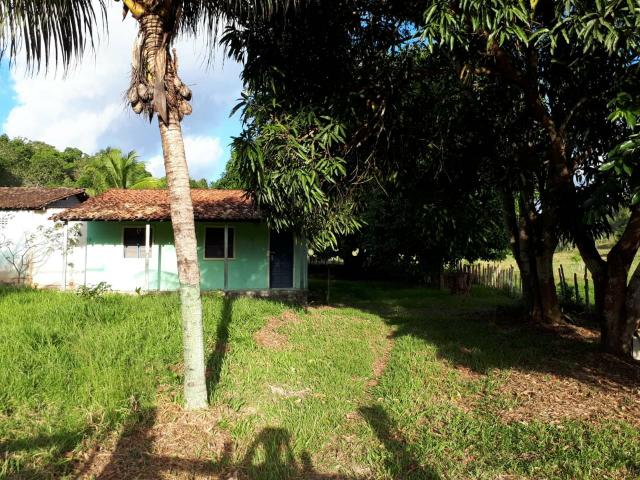 Fazenda em Mata de São João-Ba