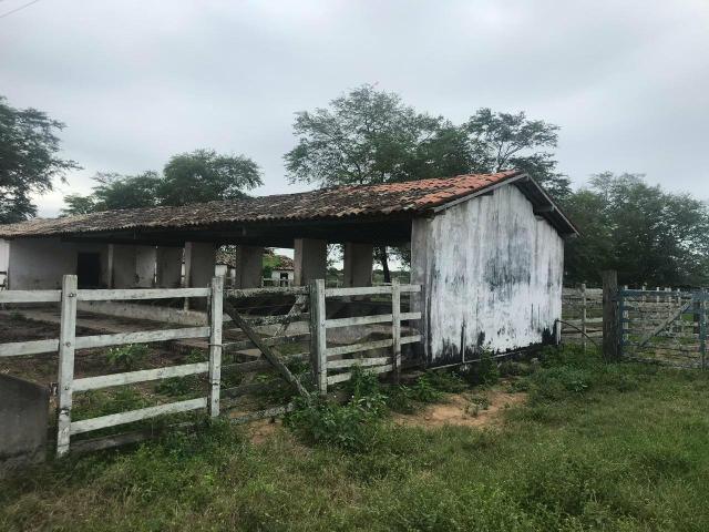 Fazenda com 480 hectares em Bom Jesus-RN - Foto 14