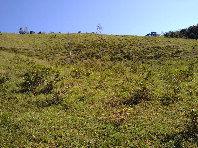 Sítio Viana 10 herquitares - Foto 5