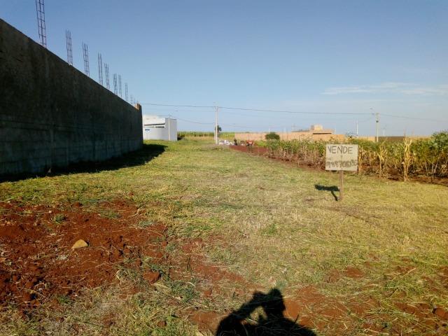 Vende terreno - Foto 3