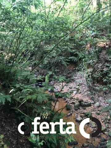 Chácara à venda em Serrinha, Contenda cod:549 - Foto 6