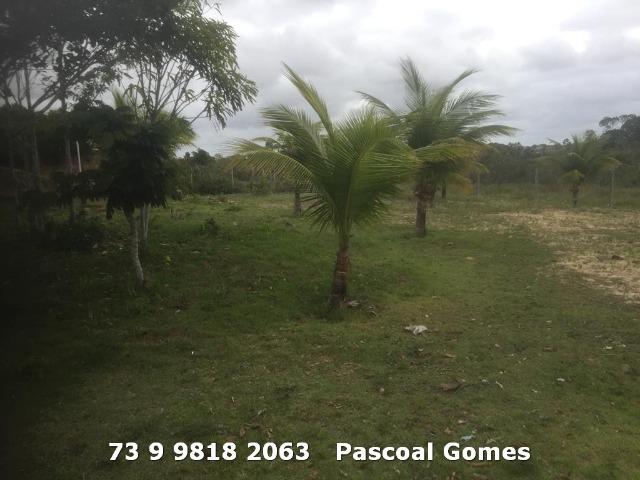 Sitio 3000m2 - Foto 5