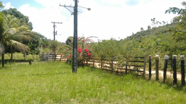Fazenda em Mata de São João-Ba - Foto 3