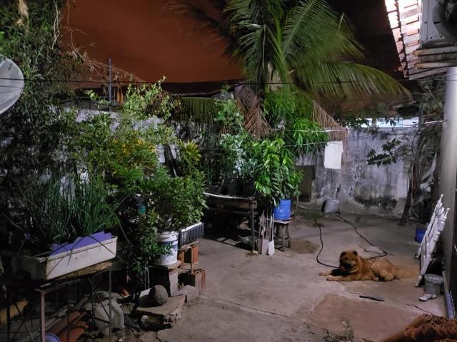 Casa 3 quartos sendo 1 suite em Parnaíba Financiavel - Foto 14
