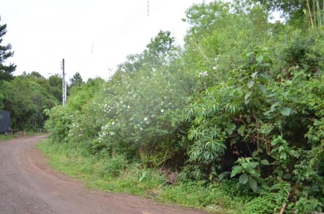 Terreno à venda, 888 m² por r$ 170.000,00 - vale dos pinheiros - gramado/rs - Foto 4