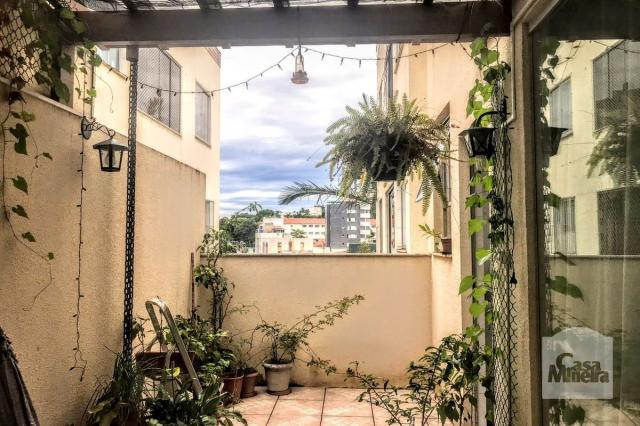 Apartamento à venda com 2 dormitórios em Padre eustáquio, Belo horizonte cod:238647 - Foto 13