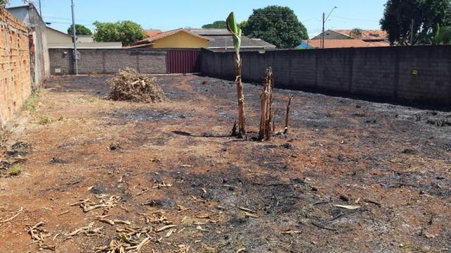 Lote para venda em goiânia, jd. presidente - Foto 5