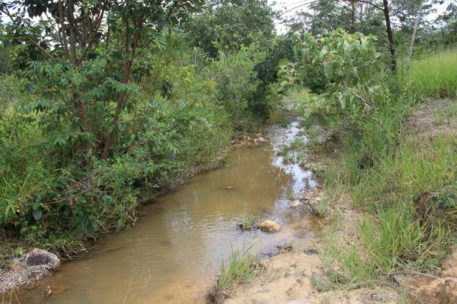 Fazenda 22 Alqueires Municpio Cocalzinho Aceita 50% em Trama em Goiania - Foto 19