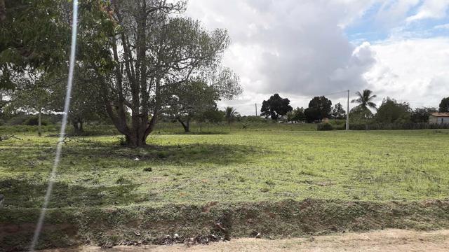 Terreno de Chácaras em Serrinha. - Foto 3
