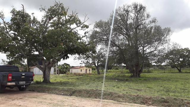 Terreno de Chácaras em Serrinha.