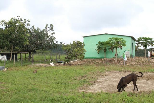 Fazenda 22 Alqueires Municpio Cocalzinho Aceita 50% em Trama em Goiania - Foto 10