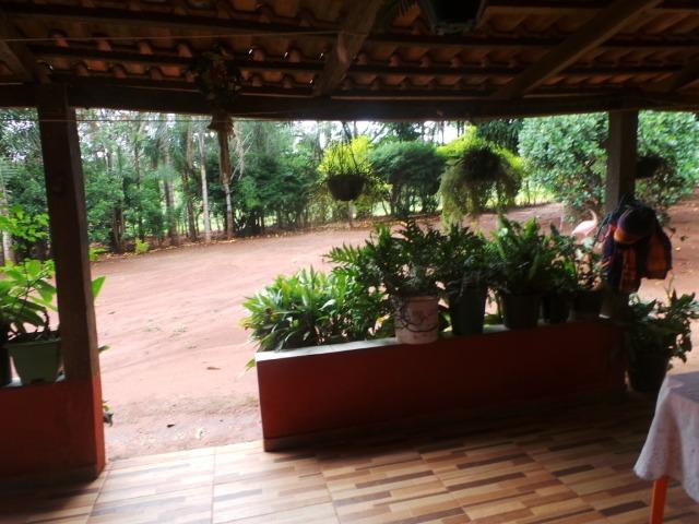 Fazenda 15 Alqueires Municipio Cocalzinho Aceita Imovel até 200 mil - Foto 7
