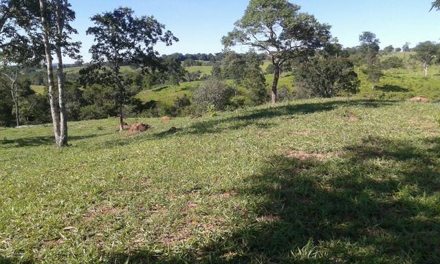 Fazenda 5.5 Alqueires Municipio de Pirinopolis Não aceita Imovel - Foto 16