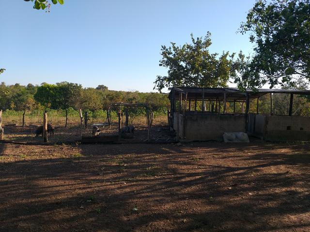 Sitio em livramento