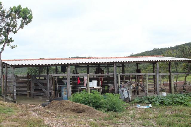 Fazenda 22 Alqueires Municpio Cocalzinho Aceita 50% em Trama em Goiania - Foto 6