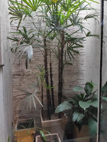 Vendo Casa - Foto 2