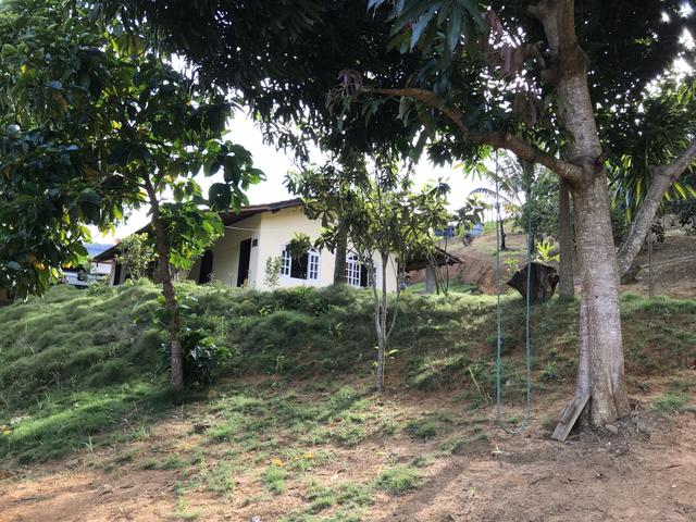 Linda Chácara 3700m2 Casa mobiliada 3 quartos em Domingos Martins - Foto 12