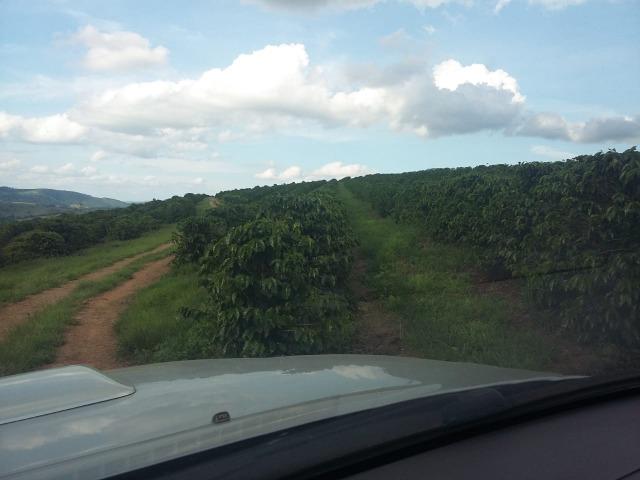 Fazenda Café Sul de Minas - Foto 8