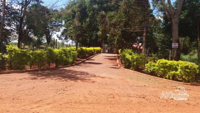 Chácara com 3 dormitórios à venda, 10.000 m² por R$ 1.100.000 - Área Urbanizada II no Anel - Foto 12