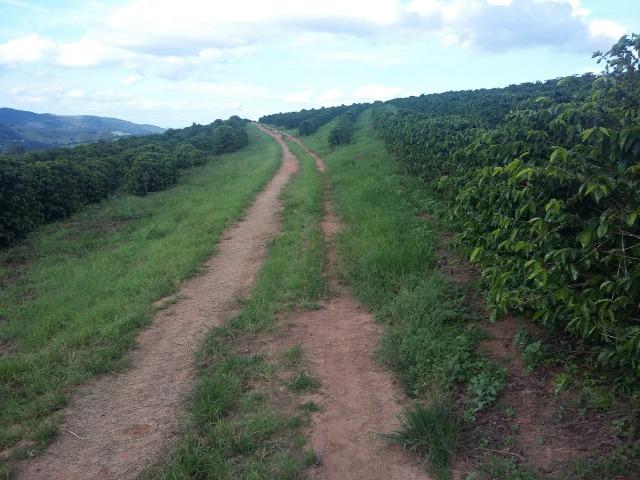 Fazenda Café Sul de Minas - Foto 13
