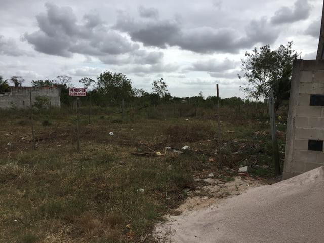 Lote próximo ao residencial gaivotas Linhares - Foto 6