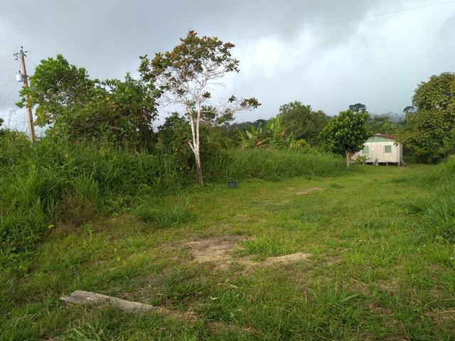 Vendo uma Chácara 14 hectares na BR 364 - Foto 3